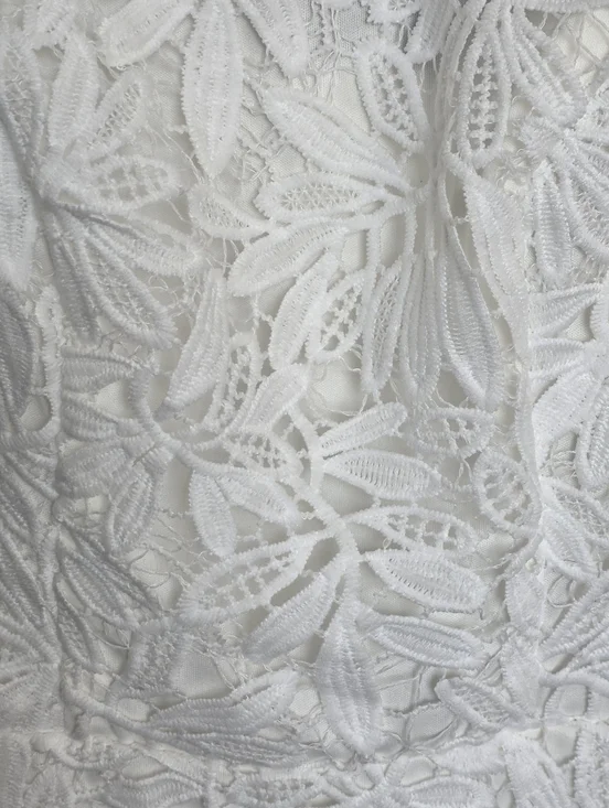 Blush MarkWhite Lace Dress - Picture 5 of 5